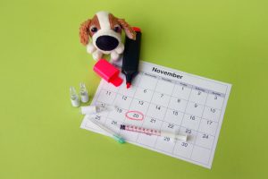 Calendario de Vacunación Gratuito